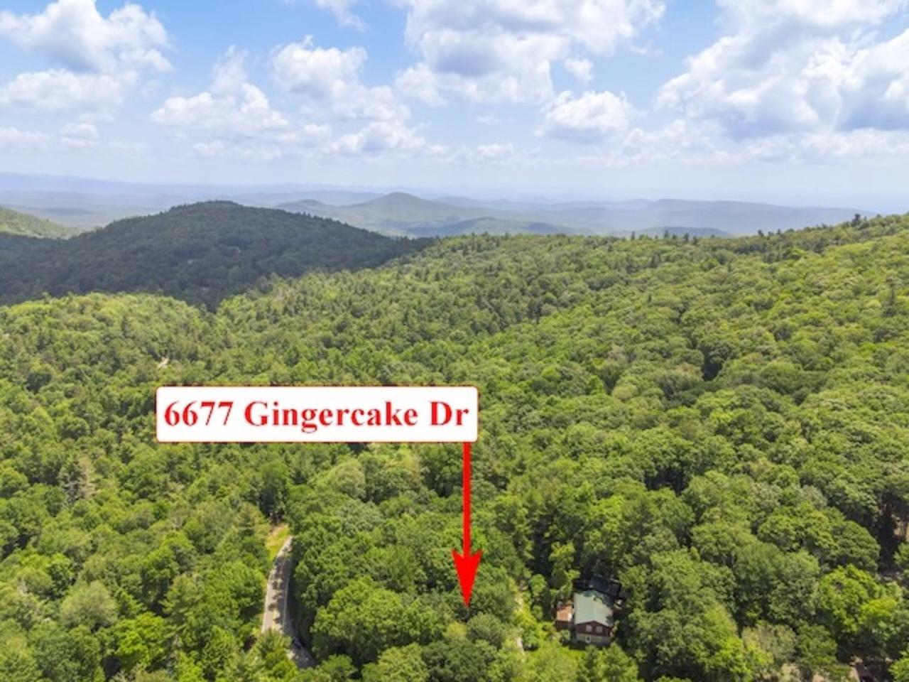 Gingercake Mtn Cottage At Linville Gorge - Wood Burning Fireplace Linville Falls Buitenkant foto