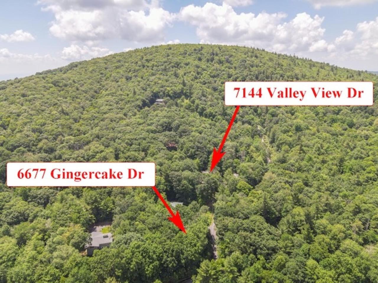 Gingercake Mtn Cottage At Linville Gorge - Wood Burning Fireplace Linville Falls Buitenkant foto